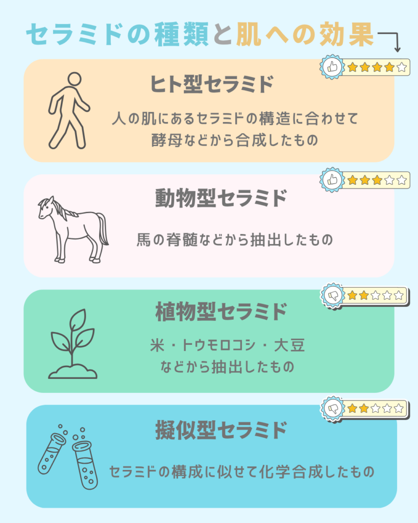 セラミドの種類と期待できる効果