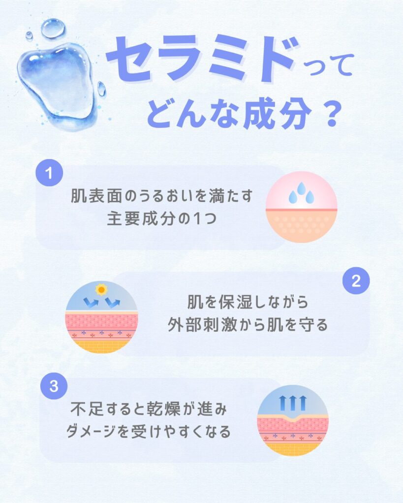 セラミドとは?どんな成分?