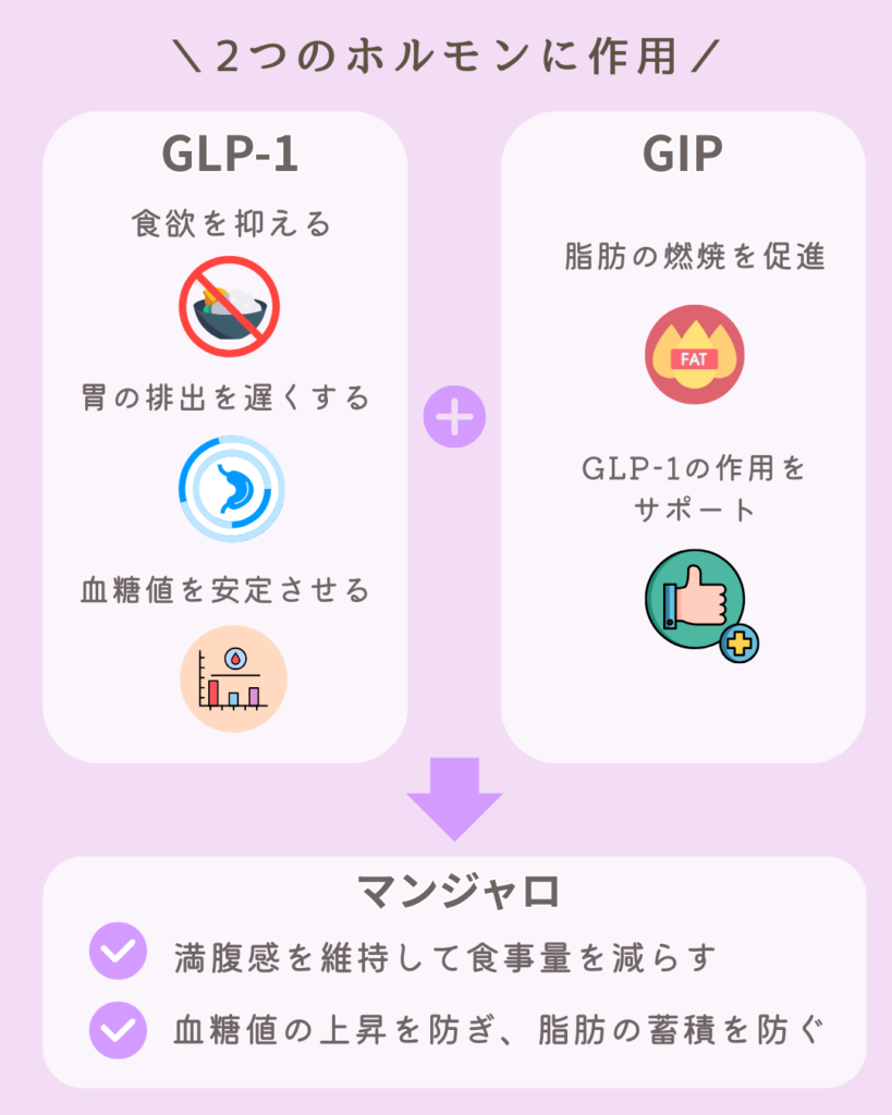 マンジャロとは？どんな効果がある？
