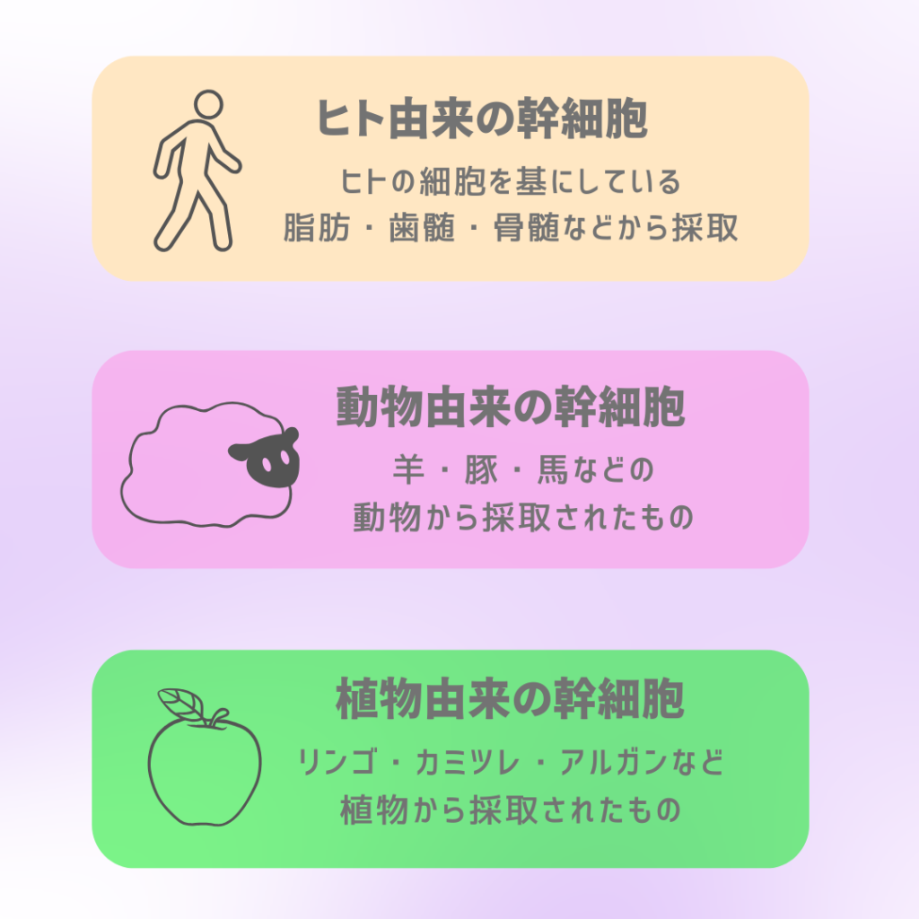 幹細胞の種類