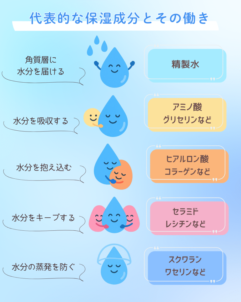 乾燥肌は保湿成分に注目しよう