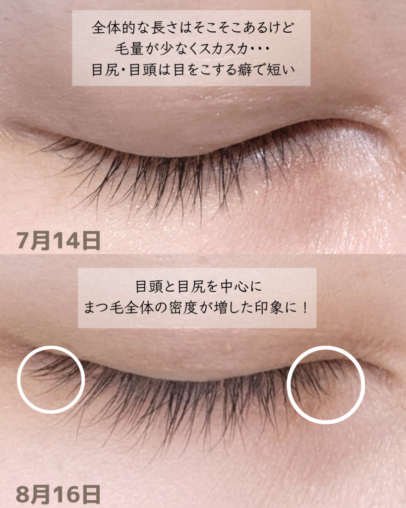 全体的にまつ毛の密度が濃くなった
